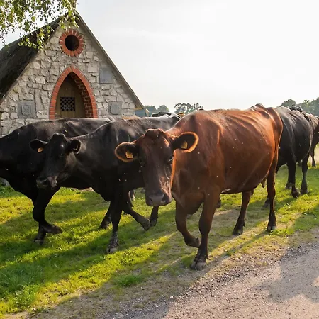 Tiny House A La Ferme - Deconnexion Totale Alpstuga *