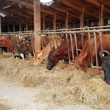 Tiny House à La Ferme - Déconnexion Totale * Anor